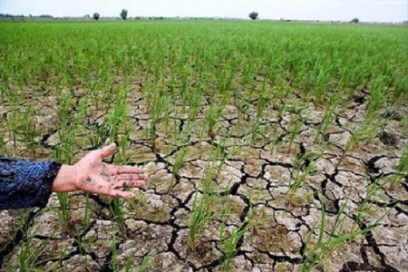 خسارت ۱۰۸ هزار میلیارد ریالی حوادث غیرمترقبه به محصولات کشاورزی استان همدان